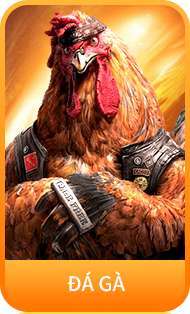 Đá gà