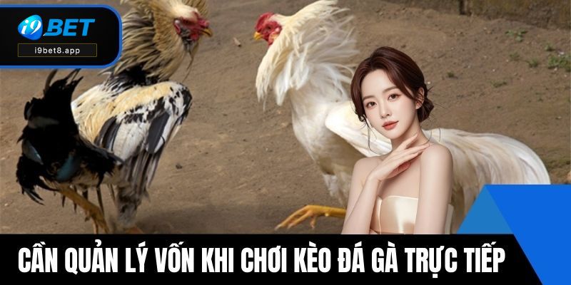 Cần quản lý vốn khi chơi kèo đá gà trực tiếp